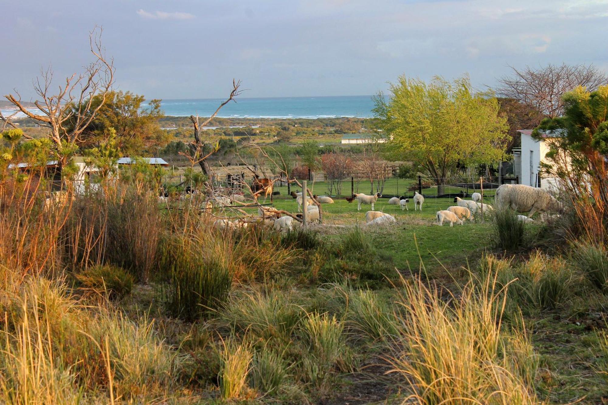 Franskraalstrand Blombos Self-Catering House 빌라 외부 사진