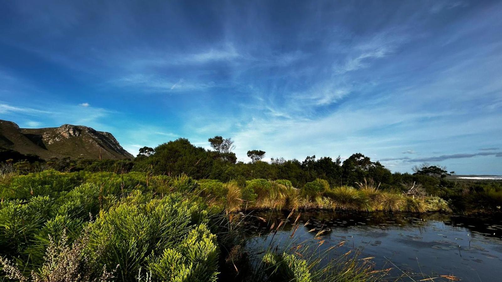 Franskraalstrand Blombos Self-Catering House 빌라 외부 사진