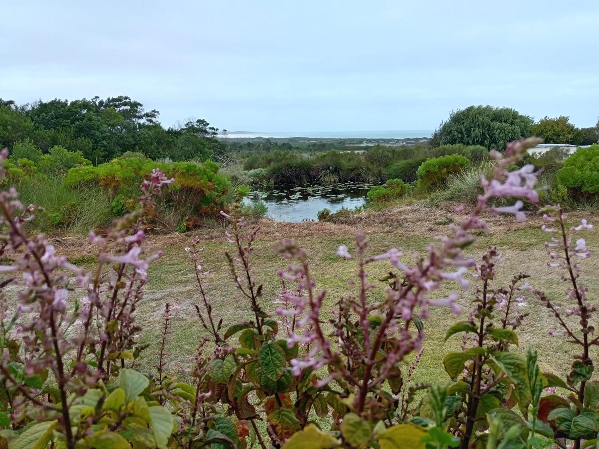 Franskraalstrand Blombos Self-Catering House 빌라 외부 사진